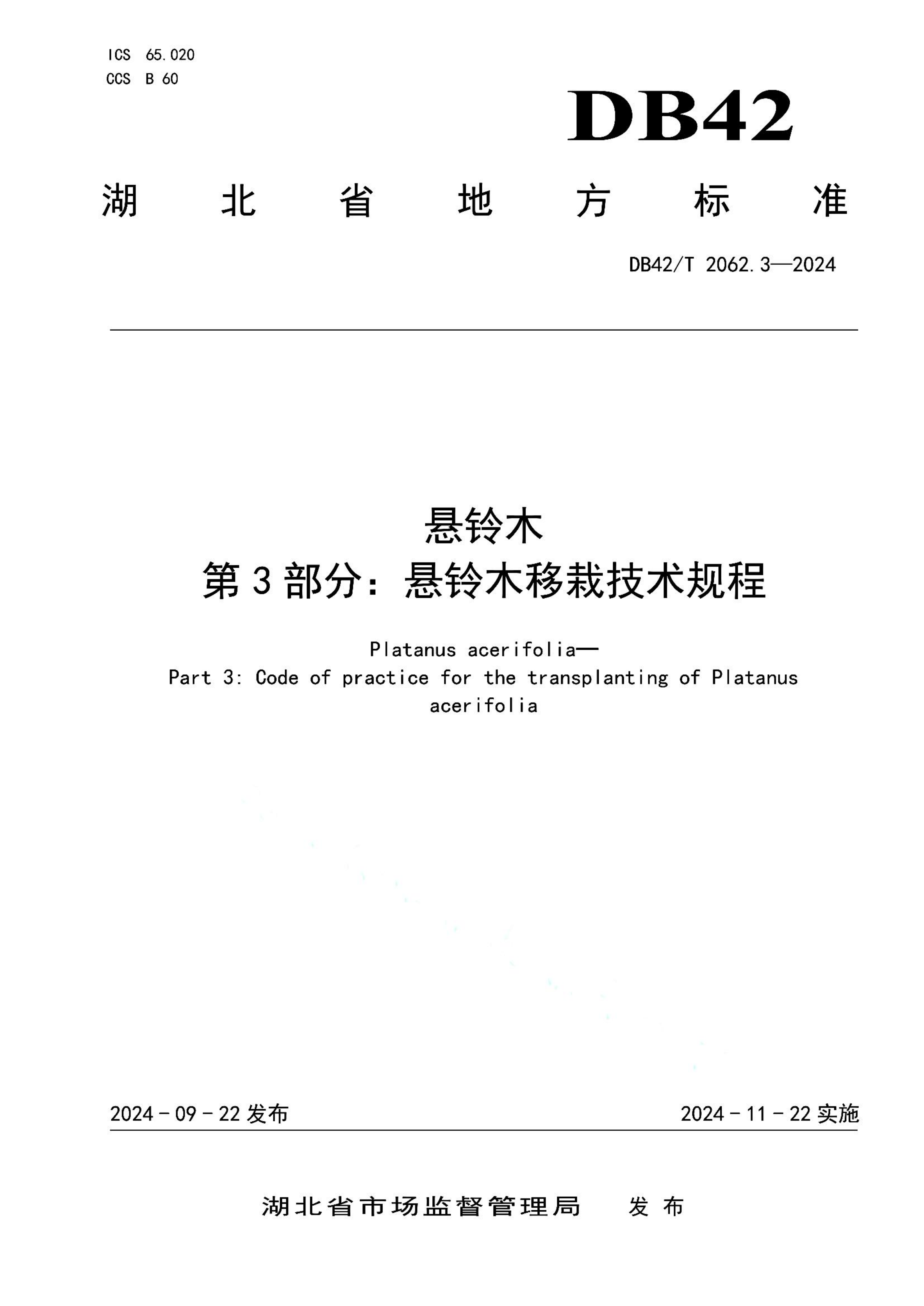 资源详情图